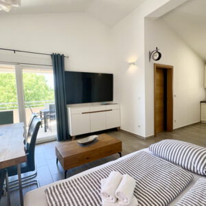 Apartment 1